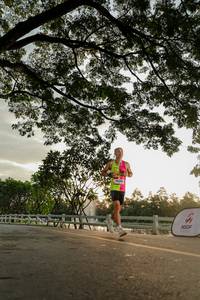 BIB: 
                            <button type="button" onclick="openModal(26555180)" class="btn btn-primary btn-sm float-right btn-popup" data-toggle="modal" data-target=".modal-high-quality">
                        <i class="fas fa-shopping-cart"></i> Add to Cart
                    </button>
                                            <button type="button" onclick="isThisMe(26555180, true)" class="btn btn-success btn-sm float-right btn-popup btn-isme hidden" data-toggle="tooltip" data-placement="bottom" title="นี่คือรูปของคุณใช่ไหม คลิกที่นี่เพื่อเอาเข้าอัลบั้ม">
                        <i class="fas fa-plus"></i> Add to album
                    </button>
                    <button type="button" onclick="isThisMe(26555180, false)" class="btn btn-warning btn-sm float-right btn-popup btn-isnotme hidden">
                        <i class="fas fa-ban"></i> Remove from album
                    </button>